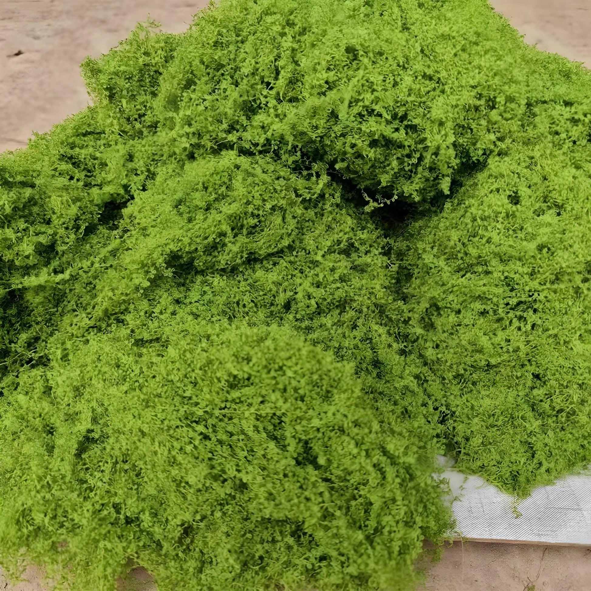 Faux Moss - Catrín Decor