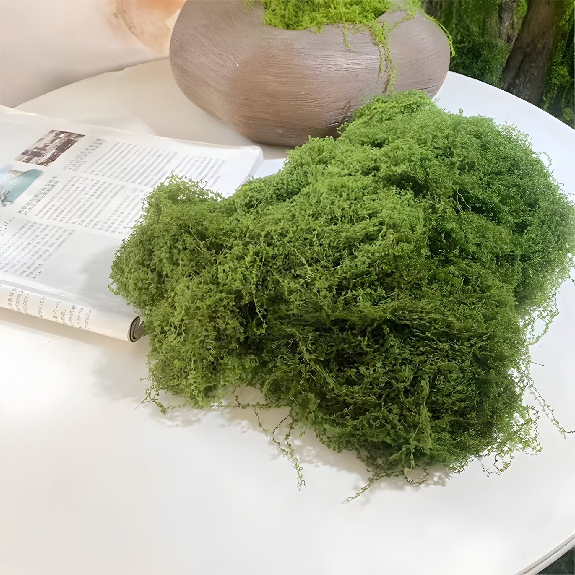 Faux Moss - Catrín Decor