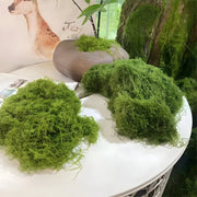 Faux Moss - Catrín Decor